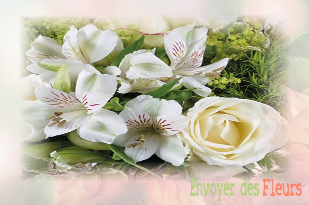 envoyer des fleurs à à VILLARS-SOUS-DAMPJOUX
